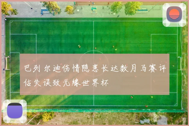 巴列尔迪伤情隐患长达数月马赛评估失误致无缘世界杯