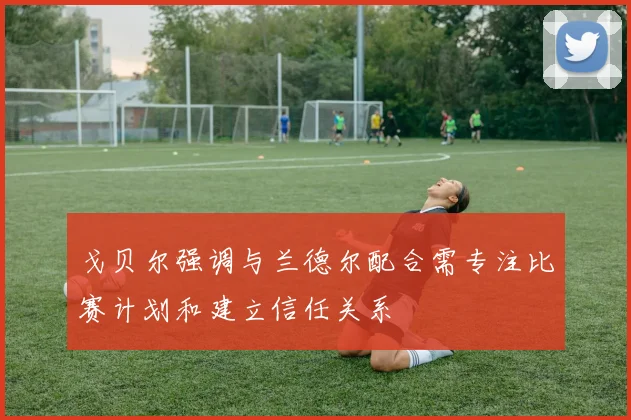 戈贝尔强调与兰德尔配合需专注比赛计划和建立信任关系